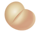 Zebeta